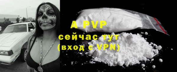 гашик Абаза