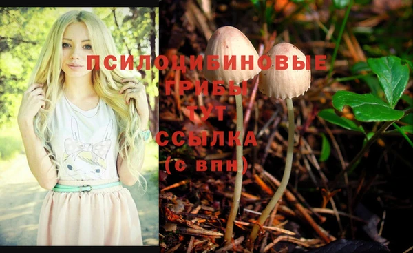 герыч Алексин