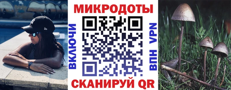 Галлюциногенные грибы Psilocybe  цены наркотик  Зеленокумск 