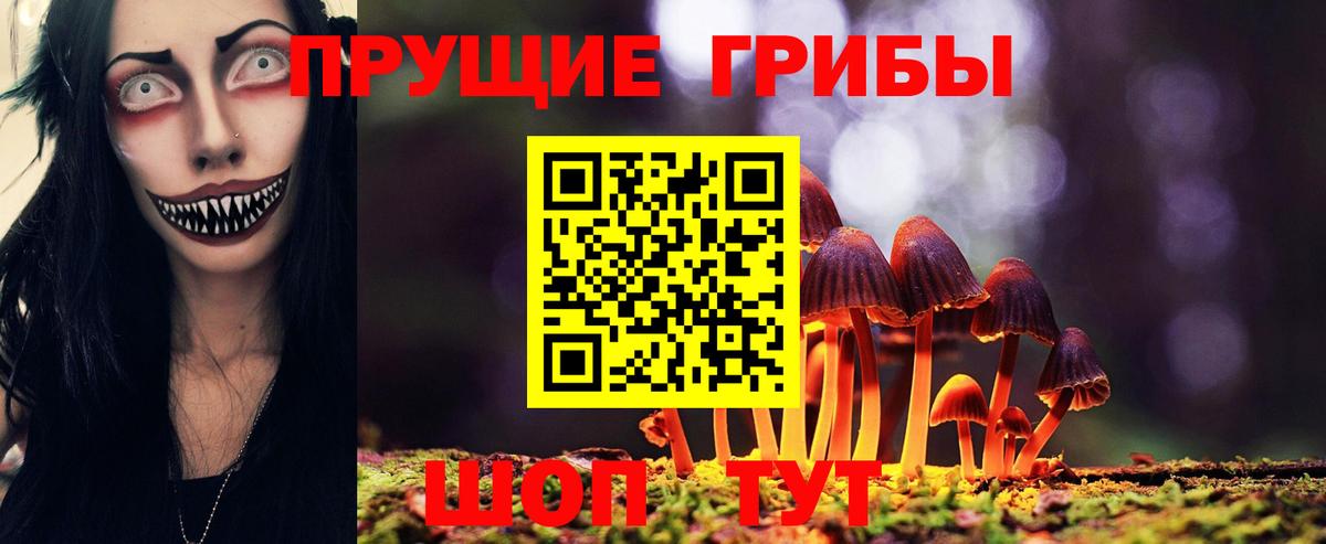Галлюциногенные грибы Psilocybine cubensis  Вход с VPN  Зеленокумск 